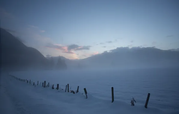 Картинка Зима, Туман, Мороз, Winter, Frost, Snow, Снежное Поле, Fog