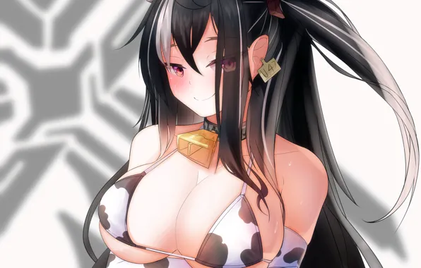 Girl, sexy, cleavage, long hair, boobs, anime, beautiful, pretty