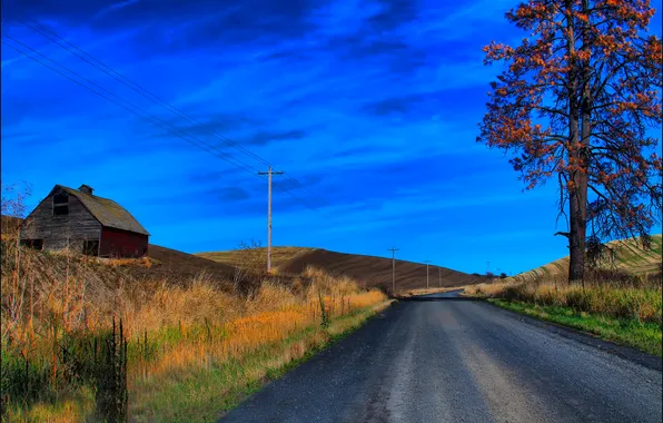 Картинка дорога, осень, небо, трава, облака, дом, дерево