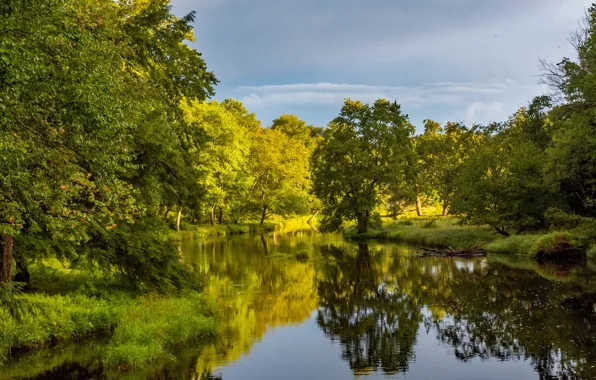 Картинка деревья, озеро, отражение, Вирджиния, Virginia, Камберленд, Cumberland, Bear Creek Lake State Park