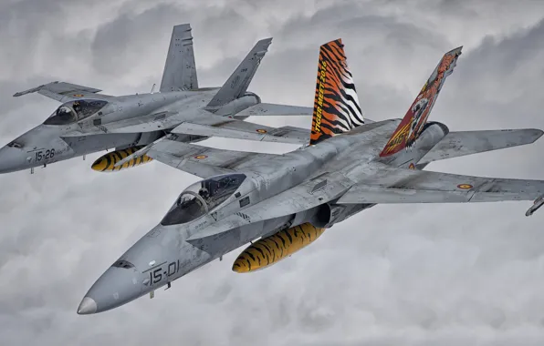 Истребитель, Пилот, Облока, F/A-18 Hornet, Кокпит, ВВС Испании, ПТБ