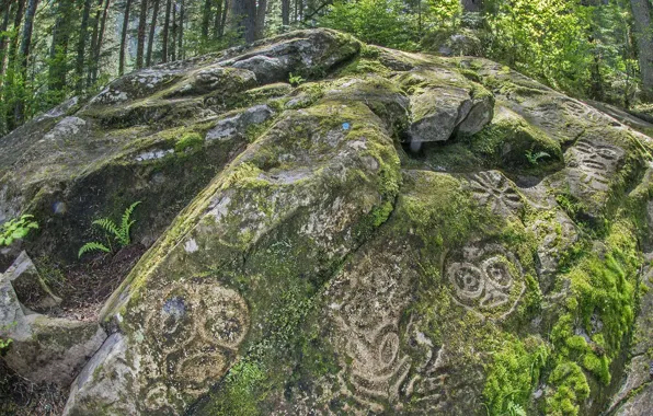 Лес, камень, Канада, Британская Колумбия, петроглифы, Белла Кула