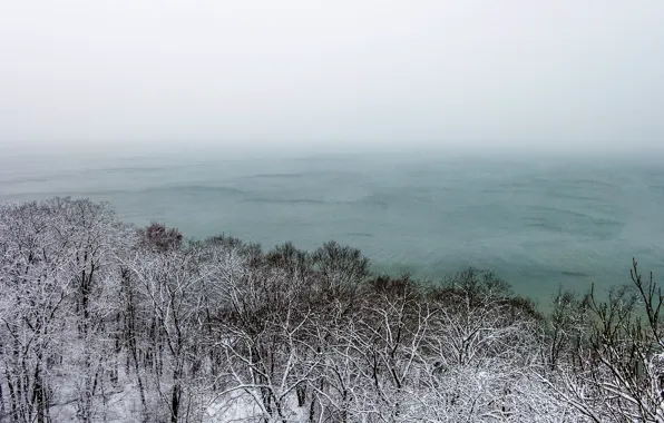 Картинка море, снег, деревья, природа, туман