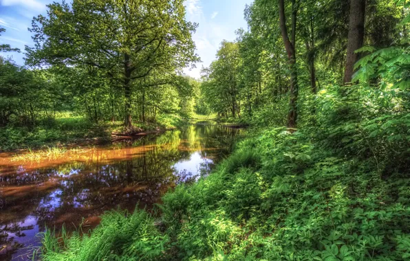 Картинка солнце, деревья, парк, отражение, река, фото, HDR, Санкт-Петербург