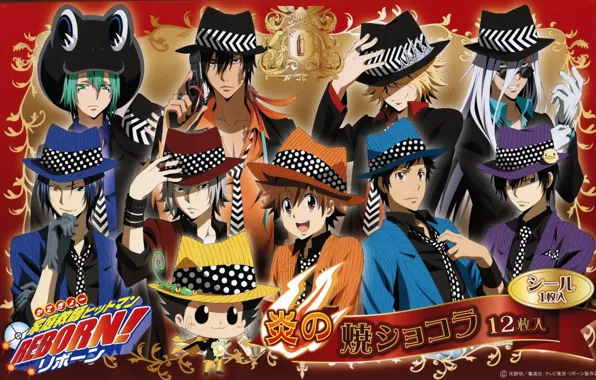 Обои аниме, арт, парни, манга, постер, Katekyo Hitman REBORN, Учительмафиози Реборн на телефон и рабочий стол, раздел сёнэн, разрешение2048x1286 - скачать