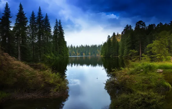 Лес, небо, облака, деревья, пейзаж, природа, озеро, лесное озеро