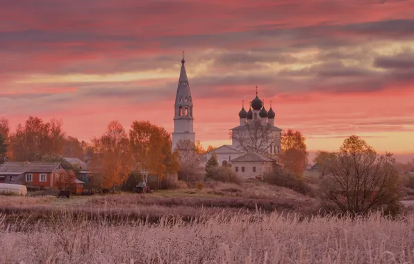 Осень, трава, деревья, пейзаж, природа, дома, утро, деревня