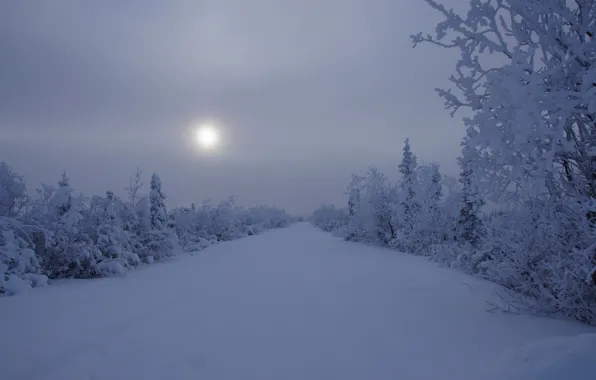 Картинка зима, снег, пейзаж, ночь