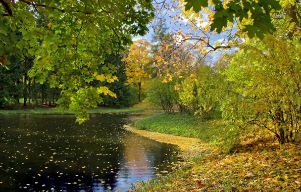 Картинка осень, листья, озеро