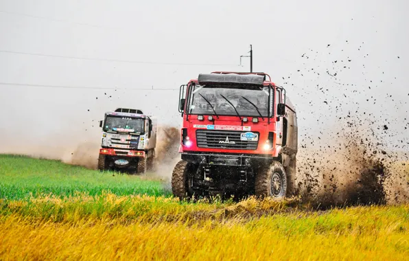 Красный, Трава, Спорт, Скорость, Гонка, Грязь, Брызги, Rally