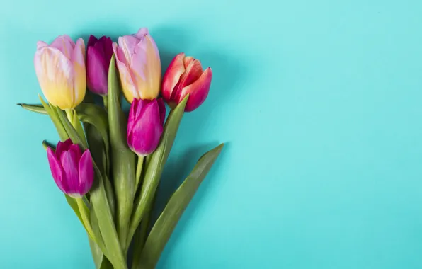 Картинка цветы, colorful, тюльпаны, розовые, pink, flowers, tulips, spring