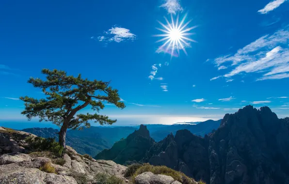 Картинка небо, солнце, горы, дерево, Франция, France, Корсика, Corsica