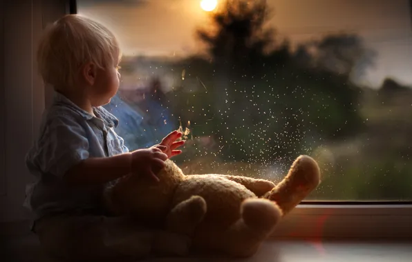 Капли, отражение, игрушка, ребенок, мальчик, малыш, медведь, окно