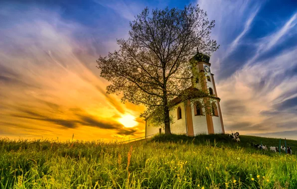 Поле, небо, трава, солнце, облака, дерево, HDR, Германия