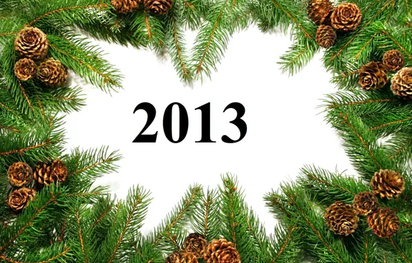 Картинка ветки, Happy New Year, шишки, год, новый, 2013