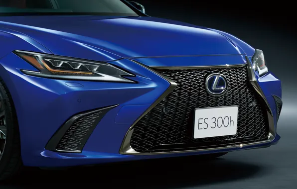 Lexus, 2018, 300h, F SPORT, ES