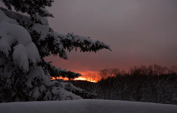 Картинка зима, небо, снег, деревья, закат, вечер