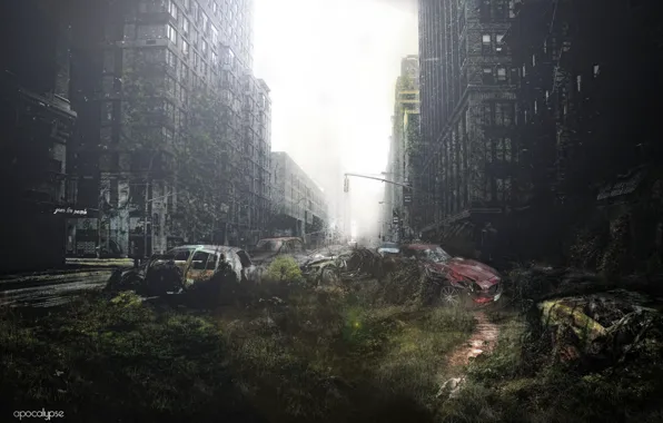 Трава, машины, люди, катастрофа, зомби, Апокалипсис, хаос, Нью Йорк