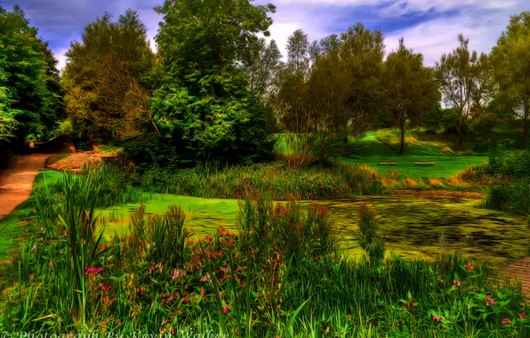 Картинка деревья, пруд, парк, Англия, обработка, Oldham