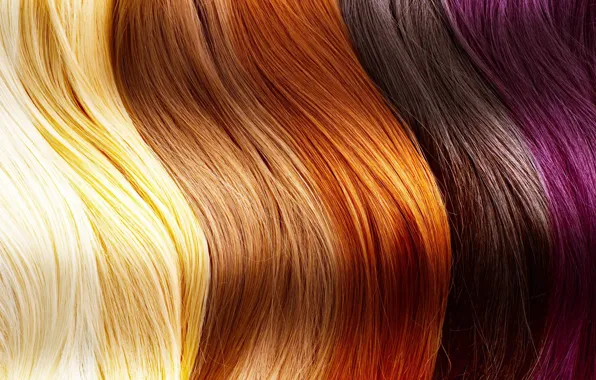 Human, different shades, hair