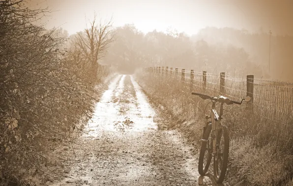 Картинка дорога, велосипед, туман, утро