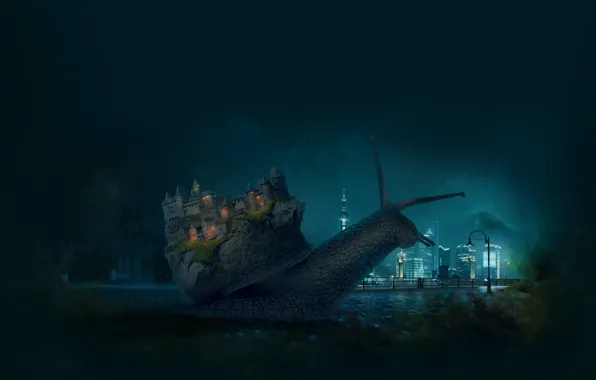 Животные, ночь, город, замок, луна, настроения, Макро, улитка
