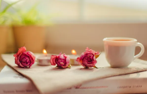 Картинка цветы, розы, свечи, чашка, книга, розовые