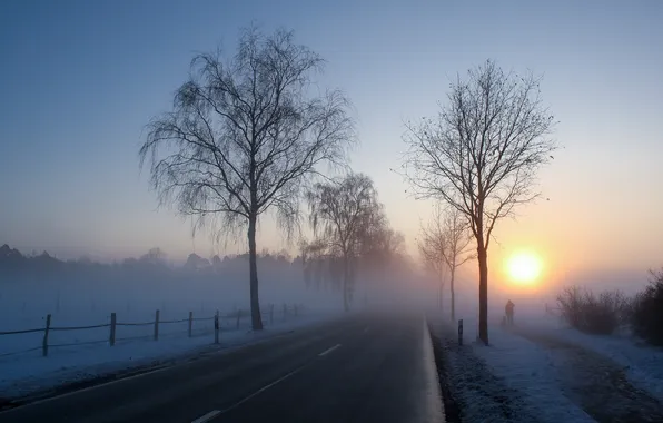 Дорога, туман, утро