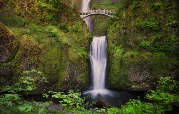 Картинка мост, водопад, Орегон, Oregon, Columbia River Gorge, водопад Малтнома, Benson Bridge, мост Бенсона