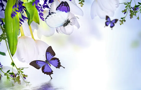 Картинка вода, бабочки, отражение, весна, тюльпаны, цветение, water, blossom