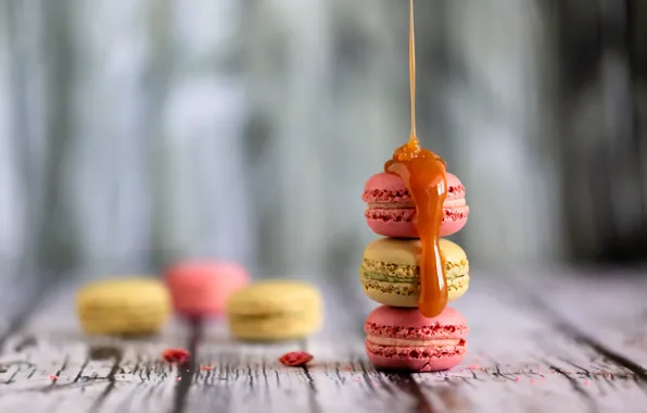 Сладость, печенье, карамель, macaron