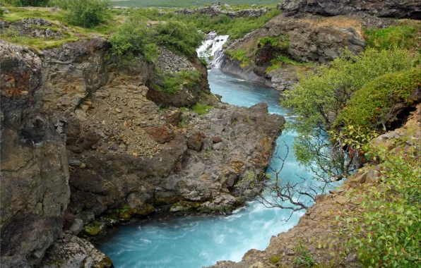 Картинка трава, река, камни, скалы, течение, кустарник