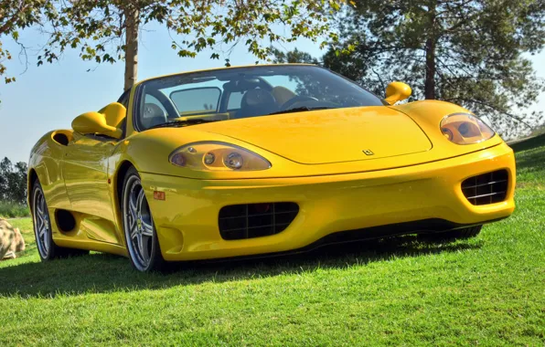 Желтый, кабриолет, феррари, 360, yellow, спайдер, Spider, Ferrari 360