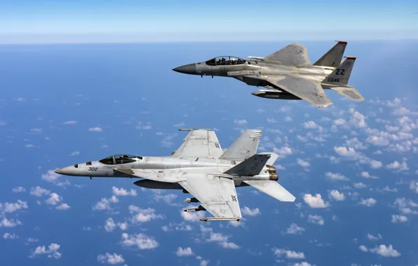 Истребители, FA-18E Super Hornet, F-15D Eagle
