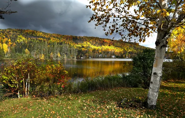 Картинка осень, лес, пейзаж, тучи, природа, озеро, дерево, холмы