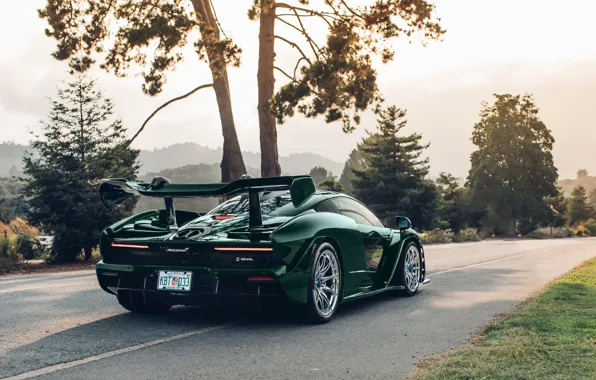 McLaren, суперкар, 2018, Senna, MSO, Fux Green