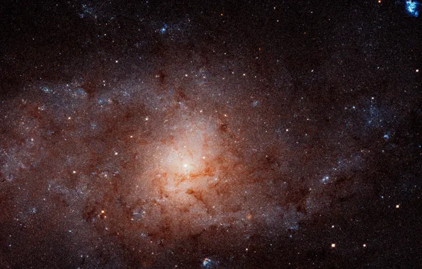Spiral galaxy, NGC 598, constellation Triangulum, The Triangulum Galaxy, Messier 33