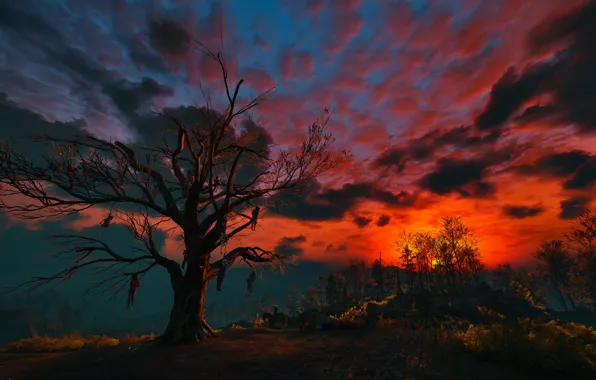 Небо, облака, ночь, дерево, Ведьмак, висельники, The Witcher 3:Wild Hunt