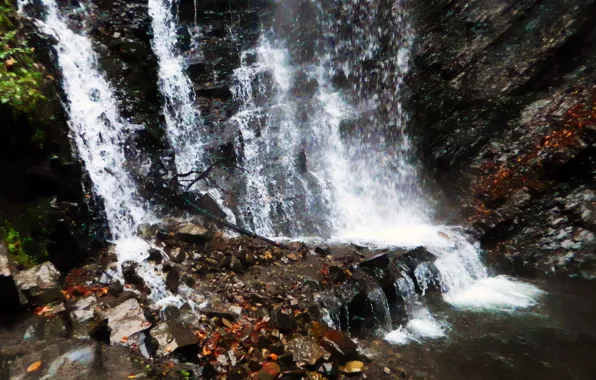 Скала, камни, Водопад, ветка дерева