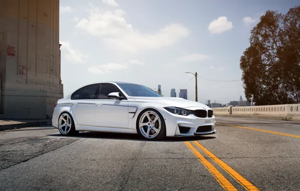 Bmw, бмв, white, wheels, tuning, front, face, germany