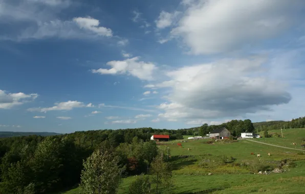 House, nature, town