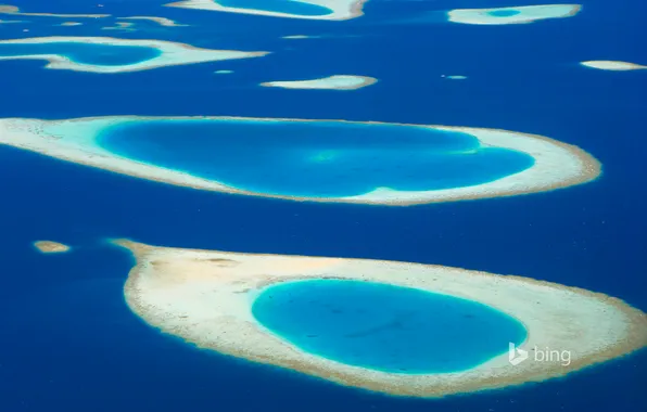 Картинка море, остров, атолл, Мальдивы