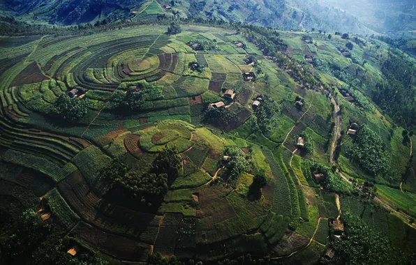 Холмы, поля, Африка, Уганда, Hills from Air