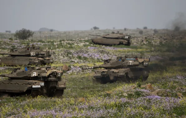 Weapon, tank, armored, military vehicle, armored vehicle, armed forces, military power, 046