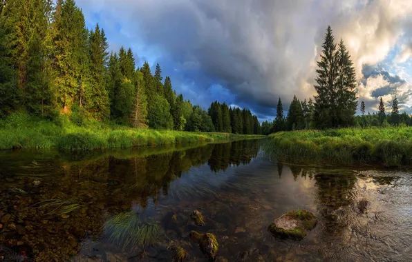 Картинка лес, небо, трава, деревья, пейзаж, тучи, природа, река