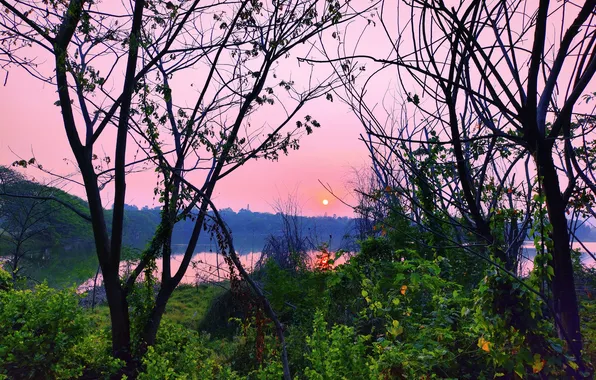 Sun, Water, Sunrise, Dawn, Morning, Lake, Trees, Reflection