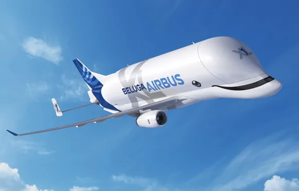 Самолет, Небо, самолёт, Грузовой, Airbus, Beluga, A300, Airbus Beluga