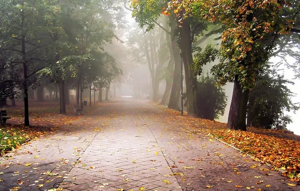 Грусть, осень, листья, деревья, пейзаж, туман, парк, аллея