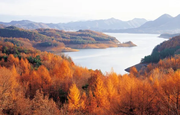 Картинка осень, деревья, горы, река, горизонт