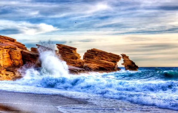 Картинка waves, bird, water, rocks, sand, stones, Sea